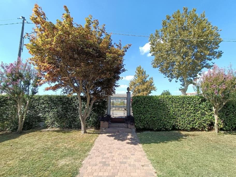 B&B We Care Appartamento Lendinara Экстерьер фото